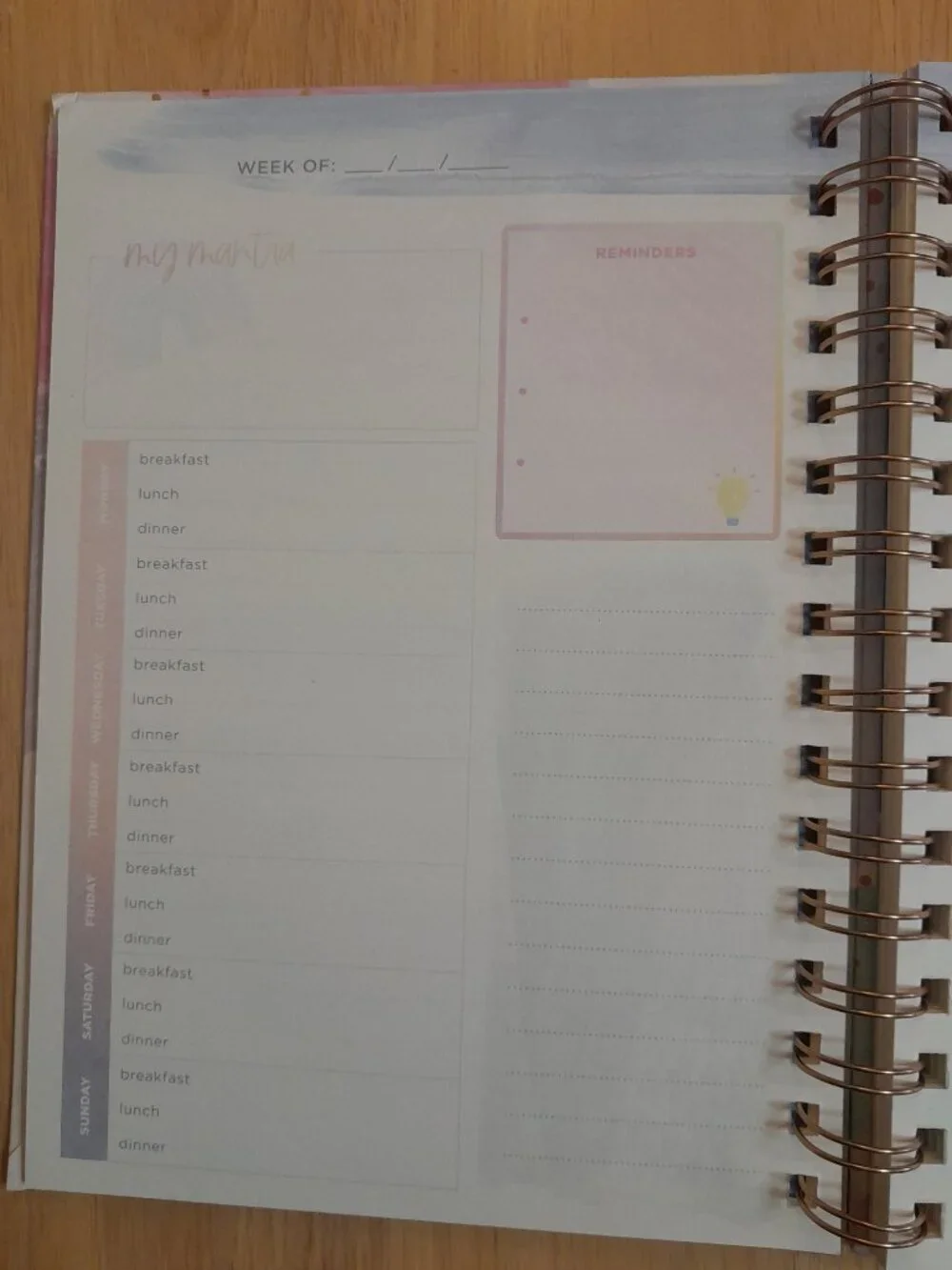 Wellness Journal by Clementine Paper Inc